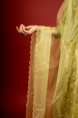 Light green Chanderi printed panel top with sequin work on yoke, organza dupatta with sequin work and rayon pant