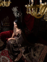 Brown Silk Tissue Hand Embroidered Sari with Raw Silk Blouse
